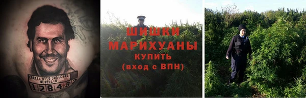 apvp Магадан