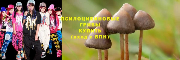 шишки Мегион