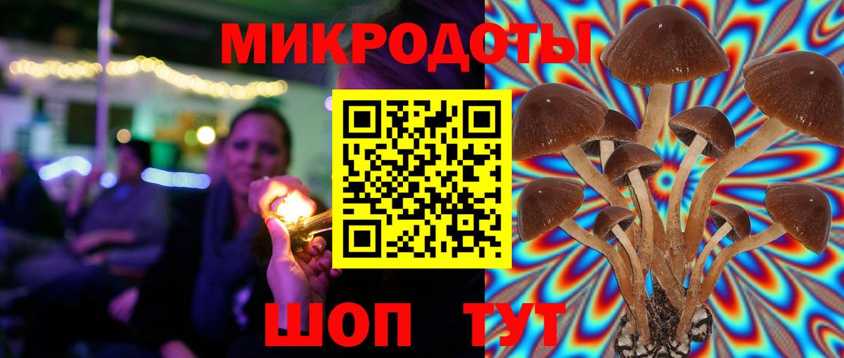 Псилоцибиновые грибы Cubensis Железногорск