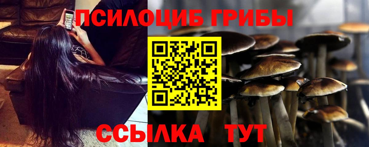 Галлюциногенные грибы MAGIC MUSHROOMS  Железногорск  Галлюциногенные грибы мицелий 